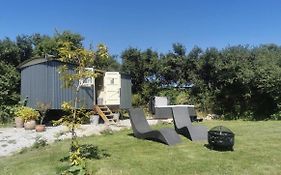 The Daffodil Hut